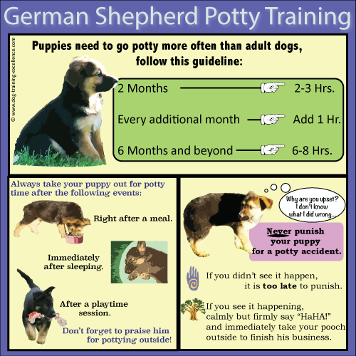 How Do You Socialize A German Shepherd Puppy?