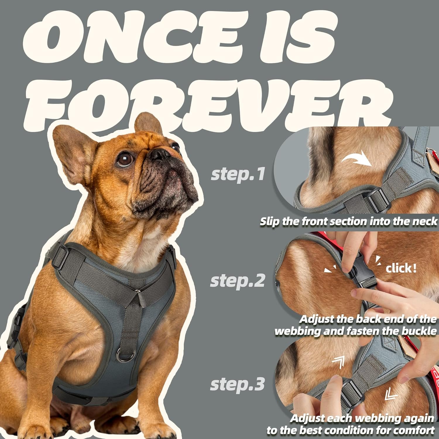 PETAGE Tactical Dog Harness for Small Medium Large Dogs No Pull Adjustable Soft Padded Dog Vest Reflective No-Choke Pet Oxford Vest with Easy Control Pet Vest Military Service Dog Harnesses(GreyL) PETAGE Tactical Dog Harness for Small Medium Large Dogs No Pull Adjustable Soft Padded Dog Vest Reflective No-Choke Pet Oxford Vest with Easy Control Pet Vest Military Service Dog Harnesses(GreyL)