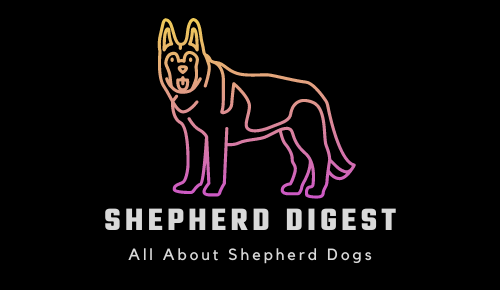 Shepherd Digest