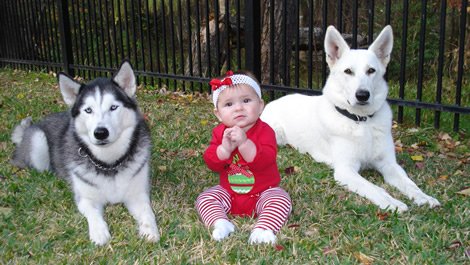 Are White Shepherds Good With Children?