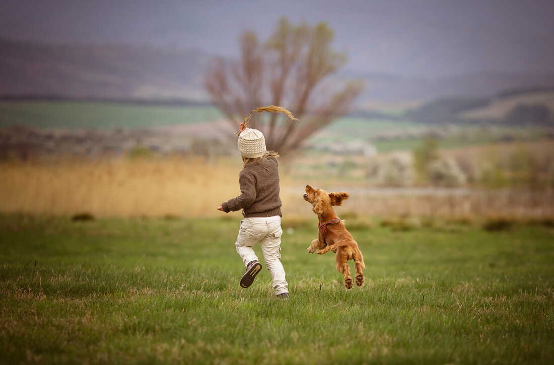 Do your kids want a dog? Science may be on their side