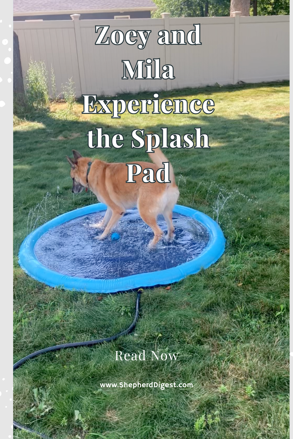 Zoey and Mila Experience the Splash Pad